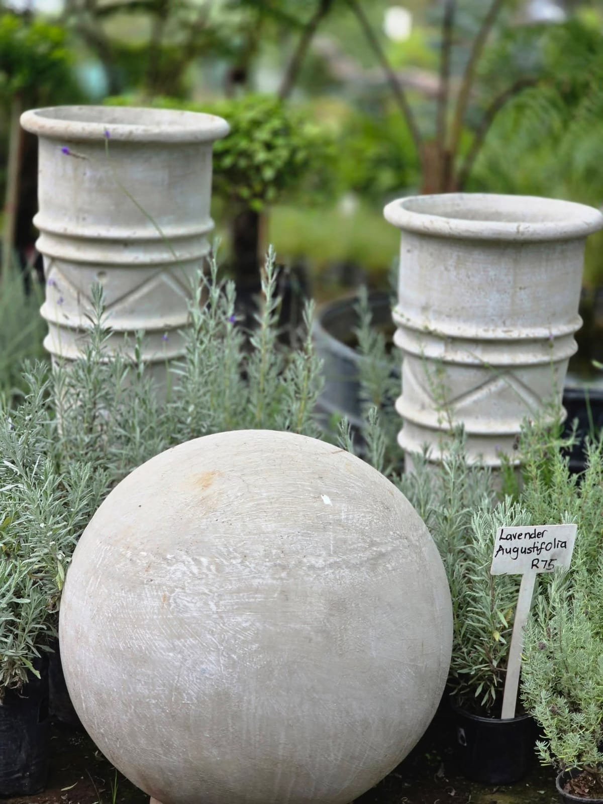 Garden stones and herbs